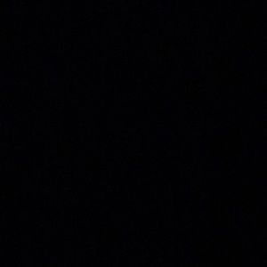 Meet your Posher, Bryce